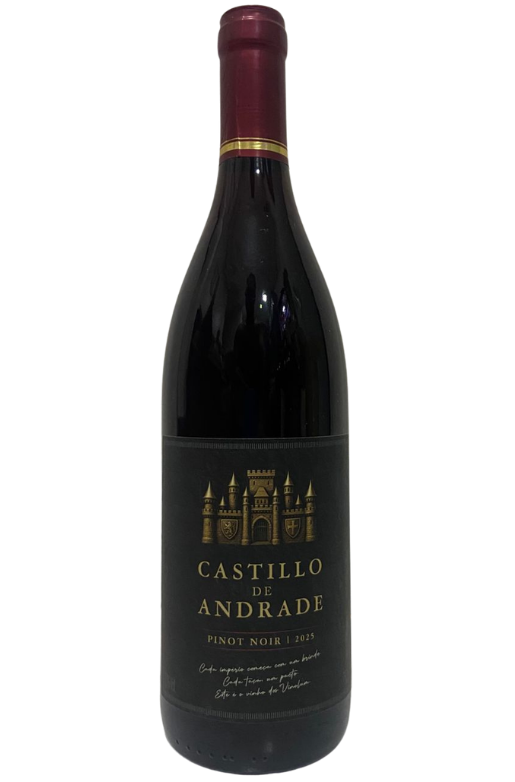 Castillo de Andrade